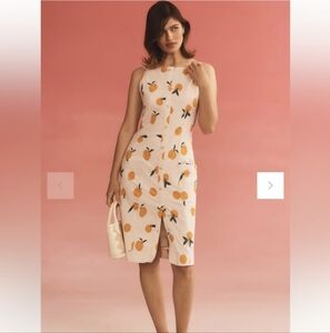 Anthropologie The Dylan Mierzwinski Colette Midi Dress by Maeve